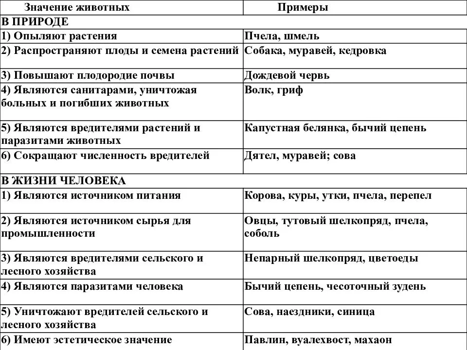 Значение животных в природе и жизни человека