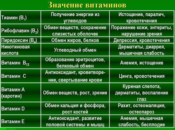 Витамины, их значение для организма человека