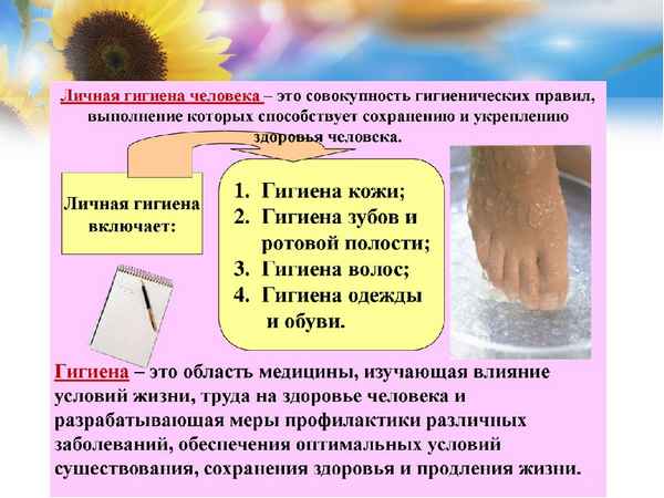 Гигиена кожи, одежды и обуви человека. Правила личной гигиены