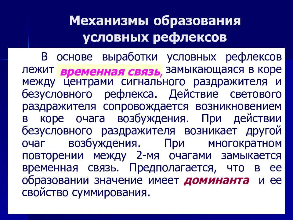 Условные рефлексы: механизм образования и биологическое значение