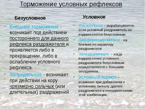 Торможение условных рефлексов. Внешнее и внутреннее торможение