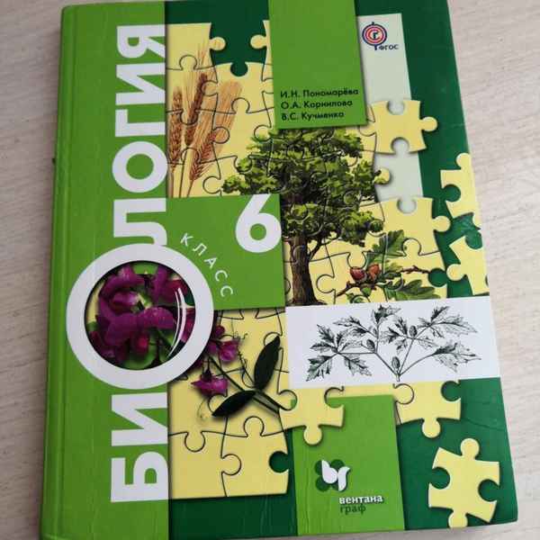 Биология 6 класс  Биология