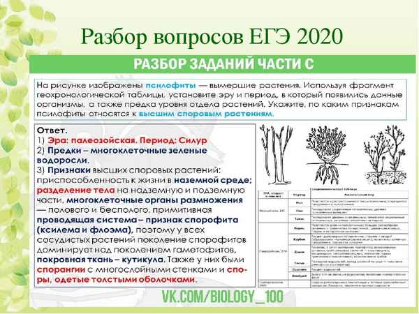 Экологические задачи (С5)  ЕГЭ biologia's Blog