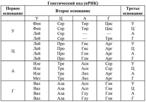 Решение биологических задач. Генетический код   ЕГЭ biologia's Blog