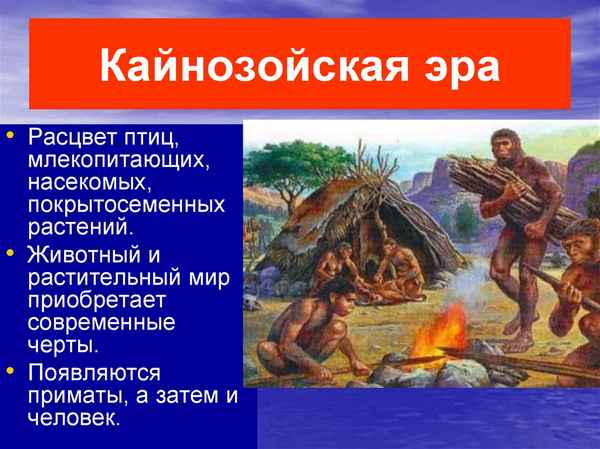 Развитие жизни в кайнозойскую эру. Животный и растительный мир