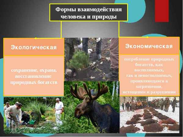 
    Интегрированный урок по литературе и биологии в 7-м классе по теме: "Взаимоотношения человека и природы"

      