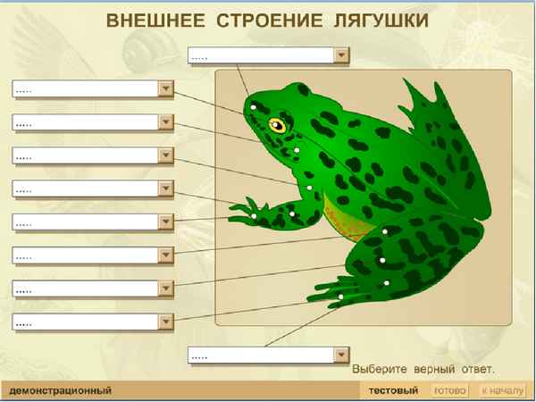 
    Интегрированный урок биологии и физики по теме: "Биоэлектрические свойства тока, или О чем рассказала лапка лягушки"

      