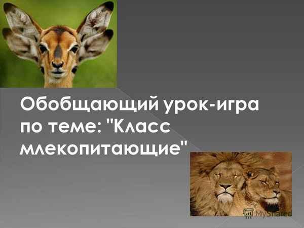 
    Обобщающий урок-игра по теме: "Класс млекопитающие"

      