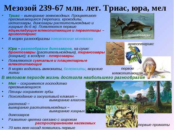 
    Интегрированный урок: биология + информатика по теме: "Развитие жизни в мезозойскую эру"

      