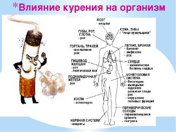 
    Тема урока: "О вреде курения для молодого организма"

      