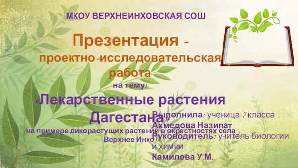 
    Урок биологии в 6-м классе по теме: "Лекарственные растения в окрестностях г. Абакана"

      