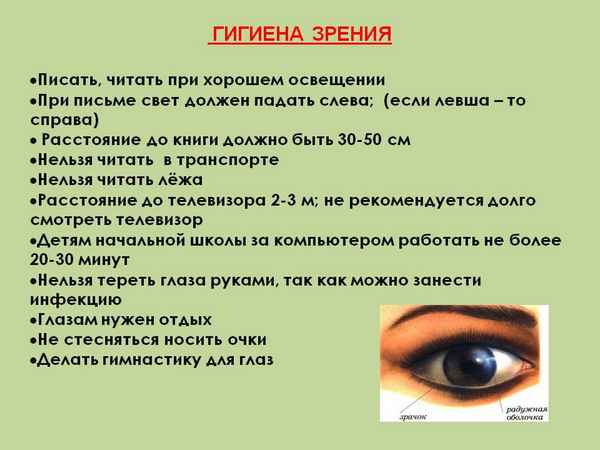 
    Урок по теме: "Зрительное восприятие. Гигиена зрения". 8-й класс

      