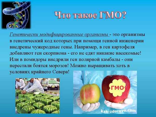 
    Урок биологии в 10-м классе "Генетически модифицированные продукты"

      