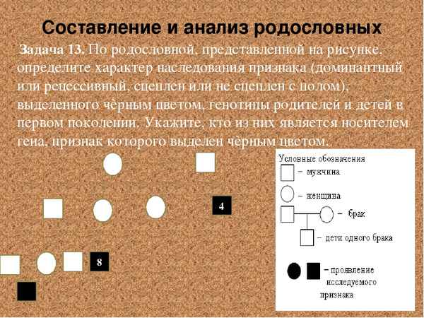 
    Программа элективного курса для профильного класса "Решение генетических задач"

      