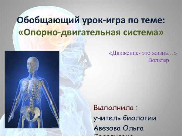 
    Обобщающий урок "Опopно-двигательная система"

      