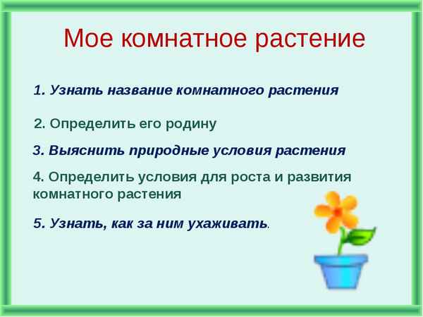 
    Интегрированный урок по теме: "В мире комнатных растений"

      