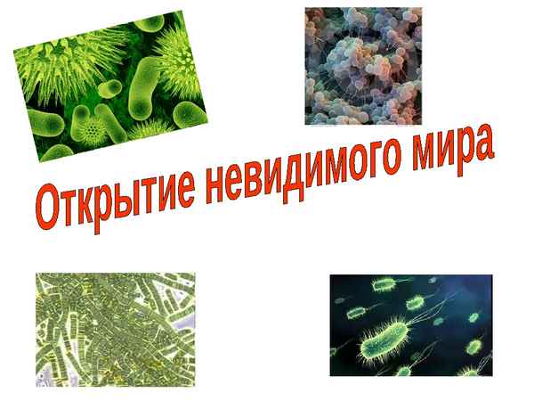 
    Урок биологии по теме "Тайны невидимого мира"

      