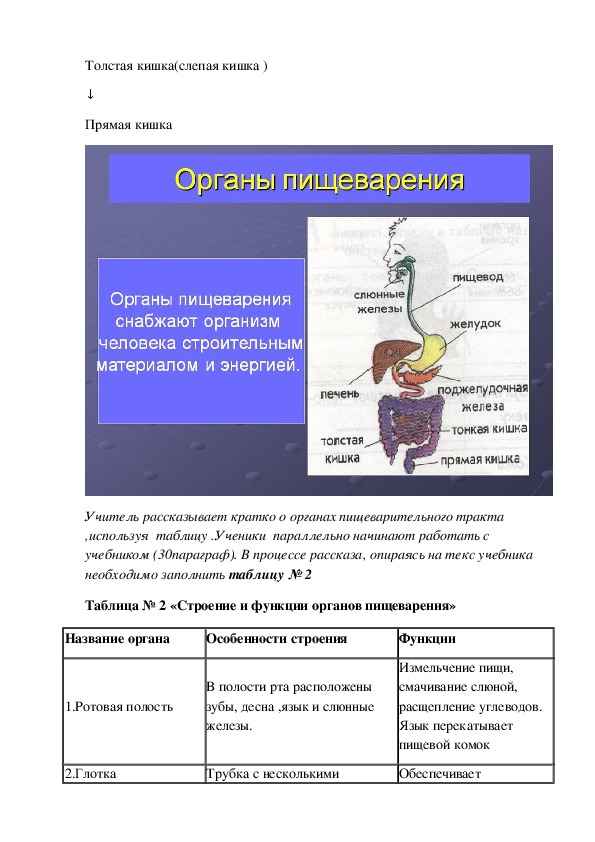 
    Урок-зачет по теме "Пищеварение"

      