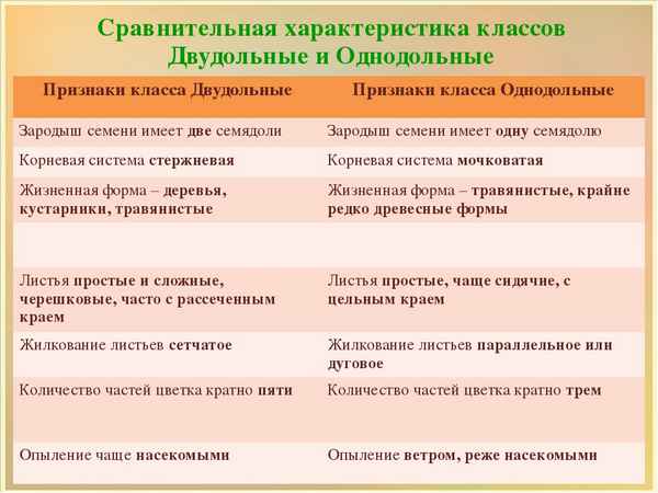 
    "Особенности растений класса Двудольных и класса Однодольных". 6-й класс

      