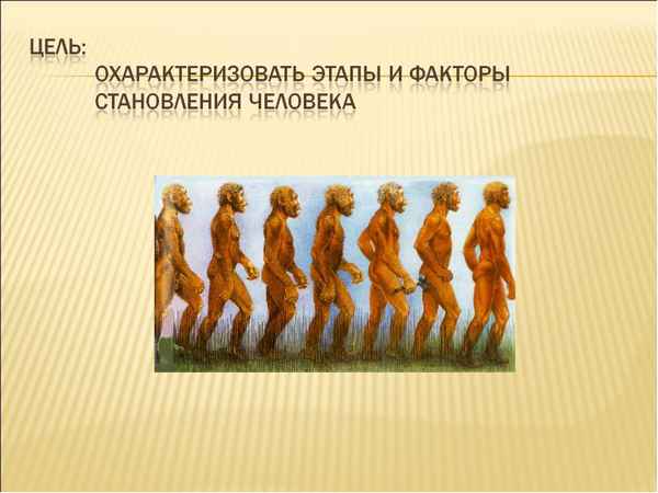 
    Тема урока: "Происхождение человека". 5-й класс

      