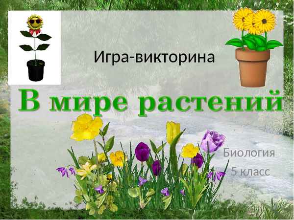 
    Биологическая игра "Мир растений"

      