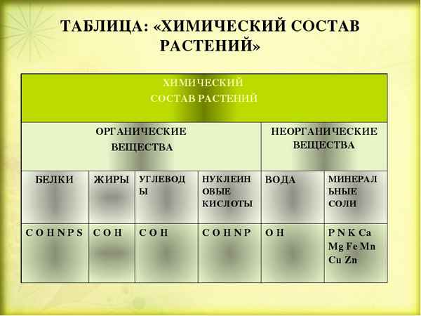 
    Тема урока: "Химический состав растений"

      