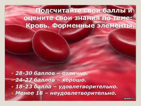 
    Турнир знаний по теме: "Кровь"

      