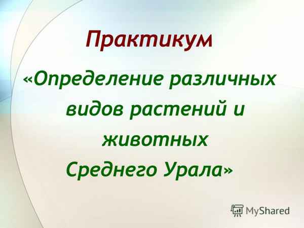 
    Урок-пpaктикум "Определение различных видов растений и животных Среднего Урала"

      