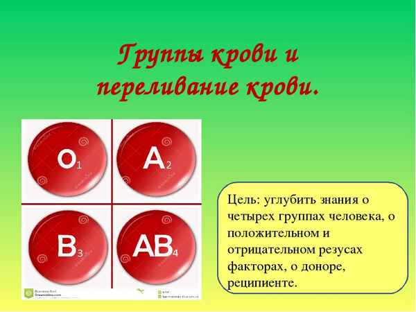 
    Урок на тему: "Группы крови" по биологии в 8-м классе

      