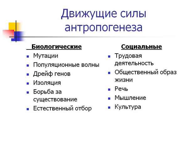 
    Движущие силы антропогенеза

      