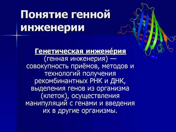 
    Урок-лекция по теме: "Генная инженерия"

      