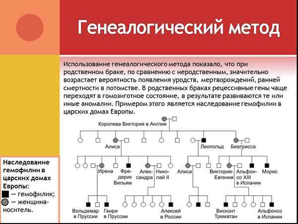 
    Генеология как метод изучения генетики человека с использованием запросов Access

      