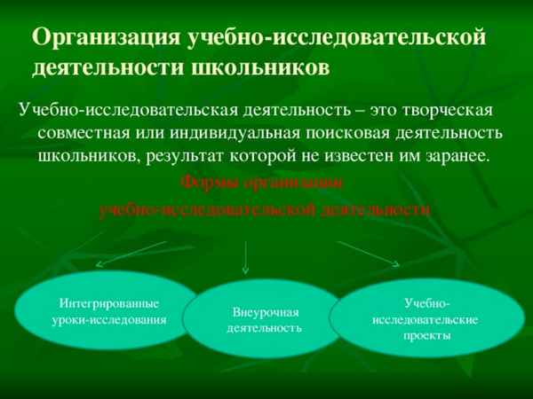 
    Организация учебно-исследовательской деятельности

      