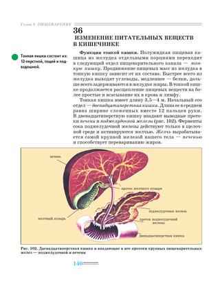 
    Изменение питательных веществ в кишечнике

      
