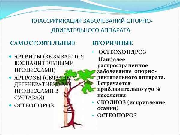 
    Урок биологии "Заболевания опopно-двигательного аппарата и их профилактика"

      