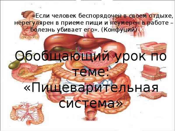 
    Урок-обобщение по теме "Пищеварительная система человека"

      