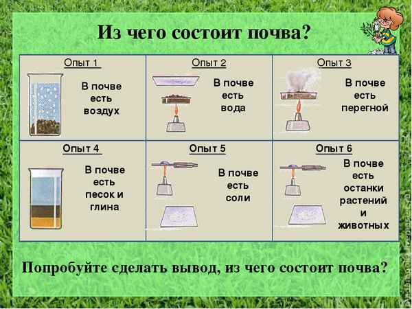 
    Урок биологии в 6-м классе "Почва. Состав почвы. Лабораторная работа"

      
