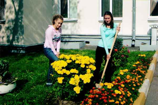 
    Опыт разведения цветов на территории училища

      