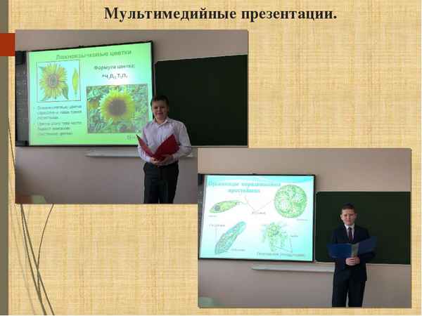 
    Мультимедийная поддержка уроков биологии

      