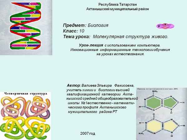 
    Урок "Молекулярная структура живого"

      