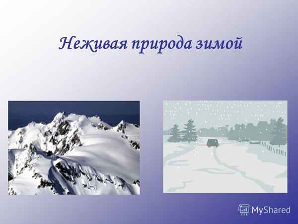 
    Конспект урока естествознания во 2-м классе по теме "Неживая природа зимой"

      