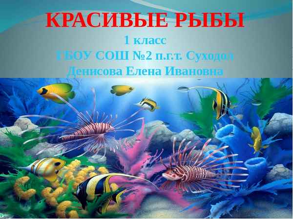 
    Урок-конкурс "Класс Рыбы"

      