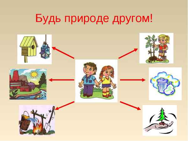 
    Тема урока: "Встреча юных друзей природы"

      