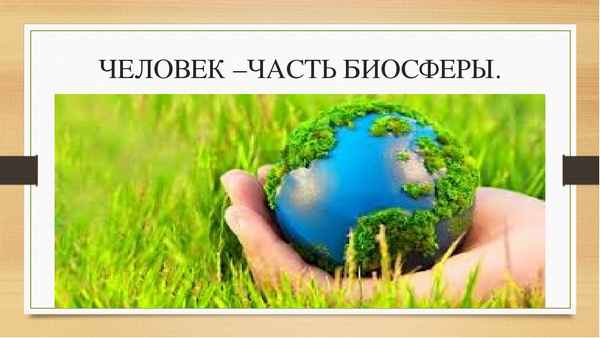 
    Урок биологии по теме "Человек — часть биосферы". 10-й класс

      