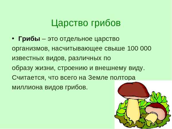 
    Урок-конференция "Удивительное царство — грибы"

      