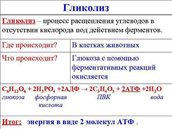 
    Сценарий урока "Энергетический обмен в клетке" (1-й класс)

      
