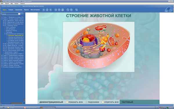 
    Разработка урока по теме "Органоиды клетки, маршрутный лист учащегося", мультимедийная презентация "Органоиды клетки"

      