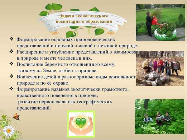 
    Из опыта работы экологического клуба

      