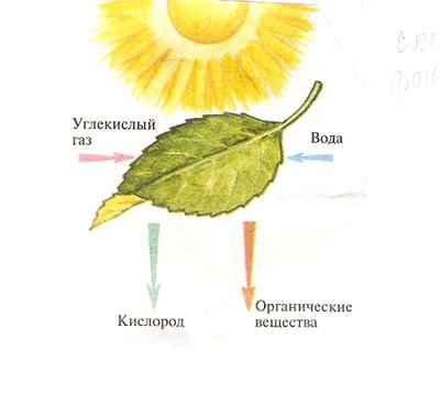 
    Урок-научная конференция "Гимн солнцу", 5-й класс

      