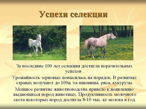 
    Успехи селекции

      